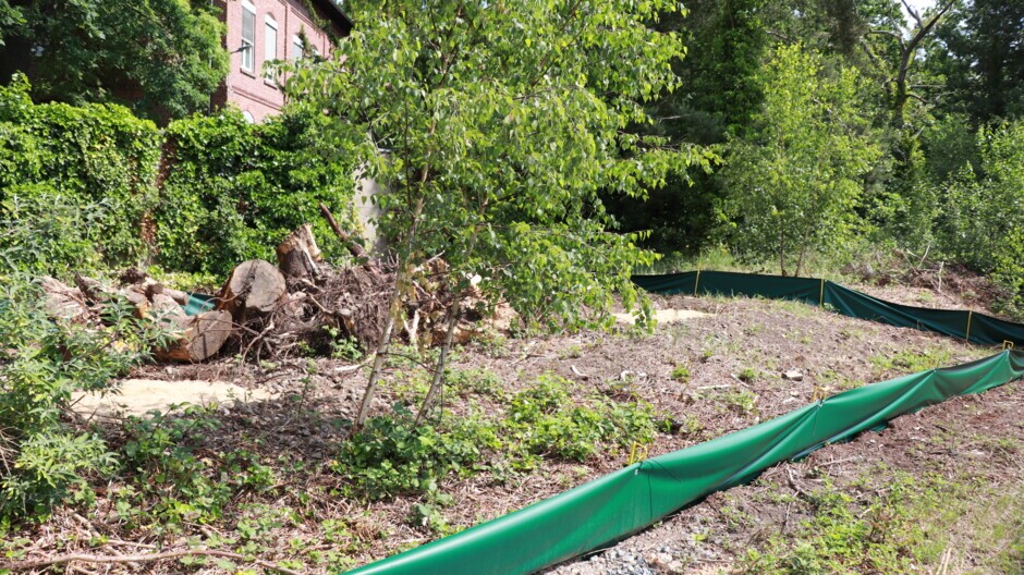 Ersatzhabitat im Naturschutzgebiet Thielenbruch